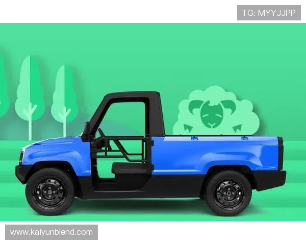 开云网中国如何引领国内外市场的购物热潮