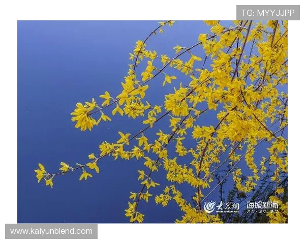 如何通过开云会员注册页面顺利完成账号创建及常见问题解决方案