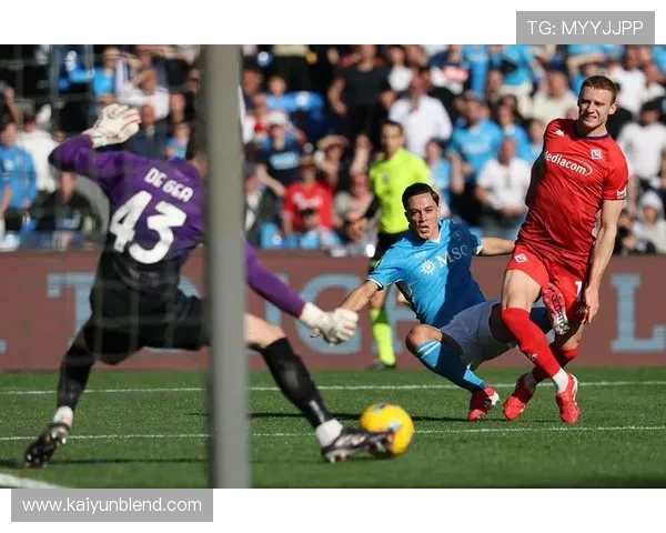 开云体育app官方网站的赛事覆盖范围与热门体育项目介绍