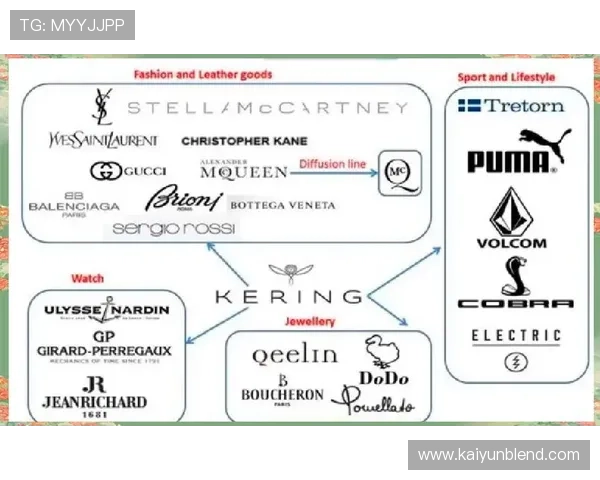 研究开云集团上海在中国市场的扩张策略与成效 研究开云集团上海在中国市场的扩张策略与成效